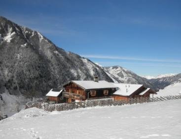resizedimage367281-auenwinterweb